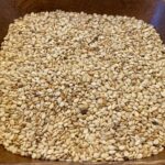 Natural Whitish Sesame Seeds (Gedaref) grade A