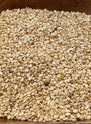Natural Whitish Sesame Seeds (Gedaref) grade A